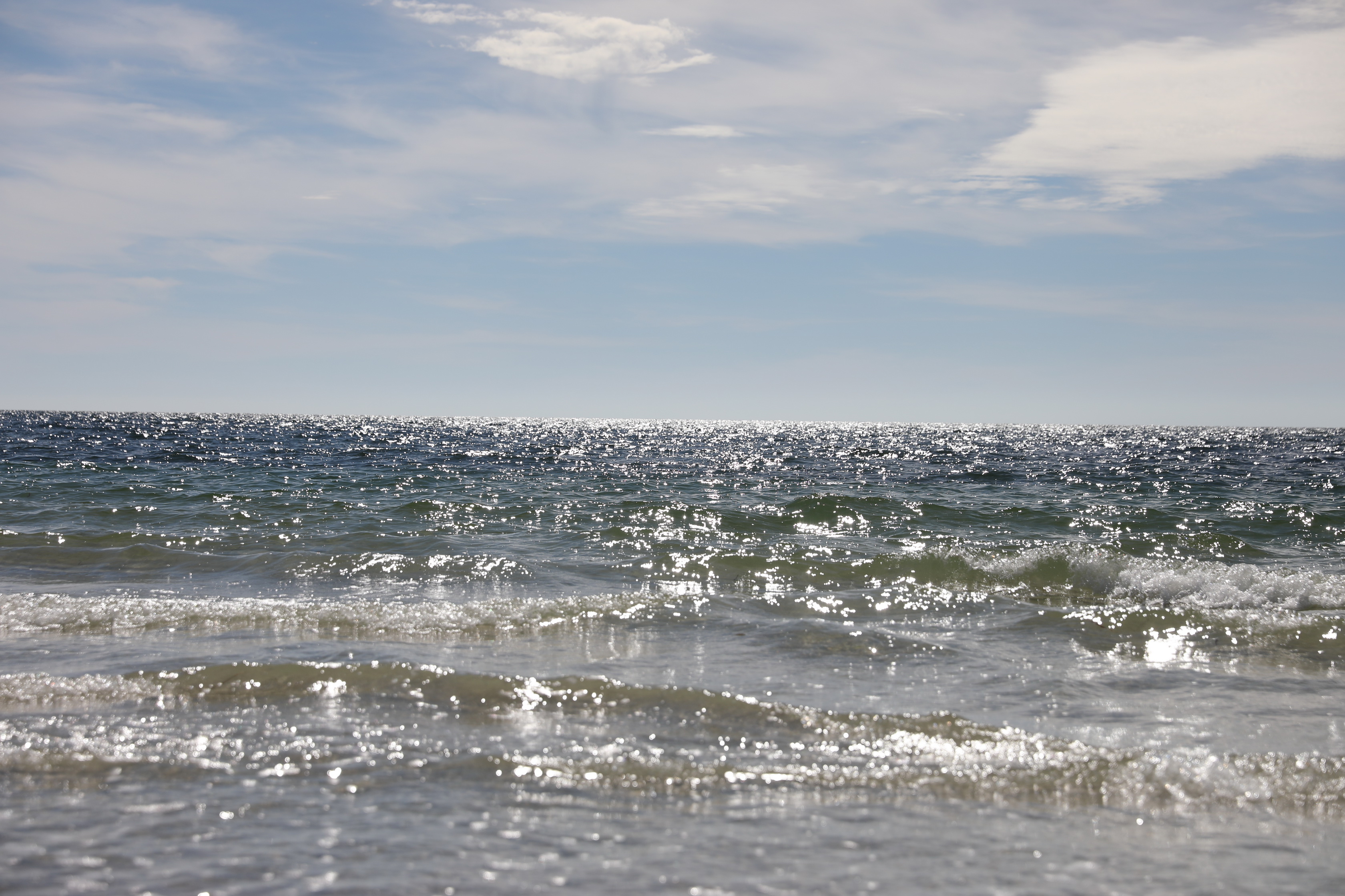 2019 12 15 16 42 11 Canon EOS 5D Mark IV 0035